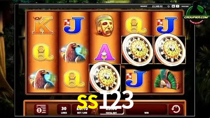 Descubra o Mundo do Cassino Online com ss123