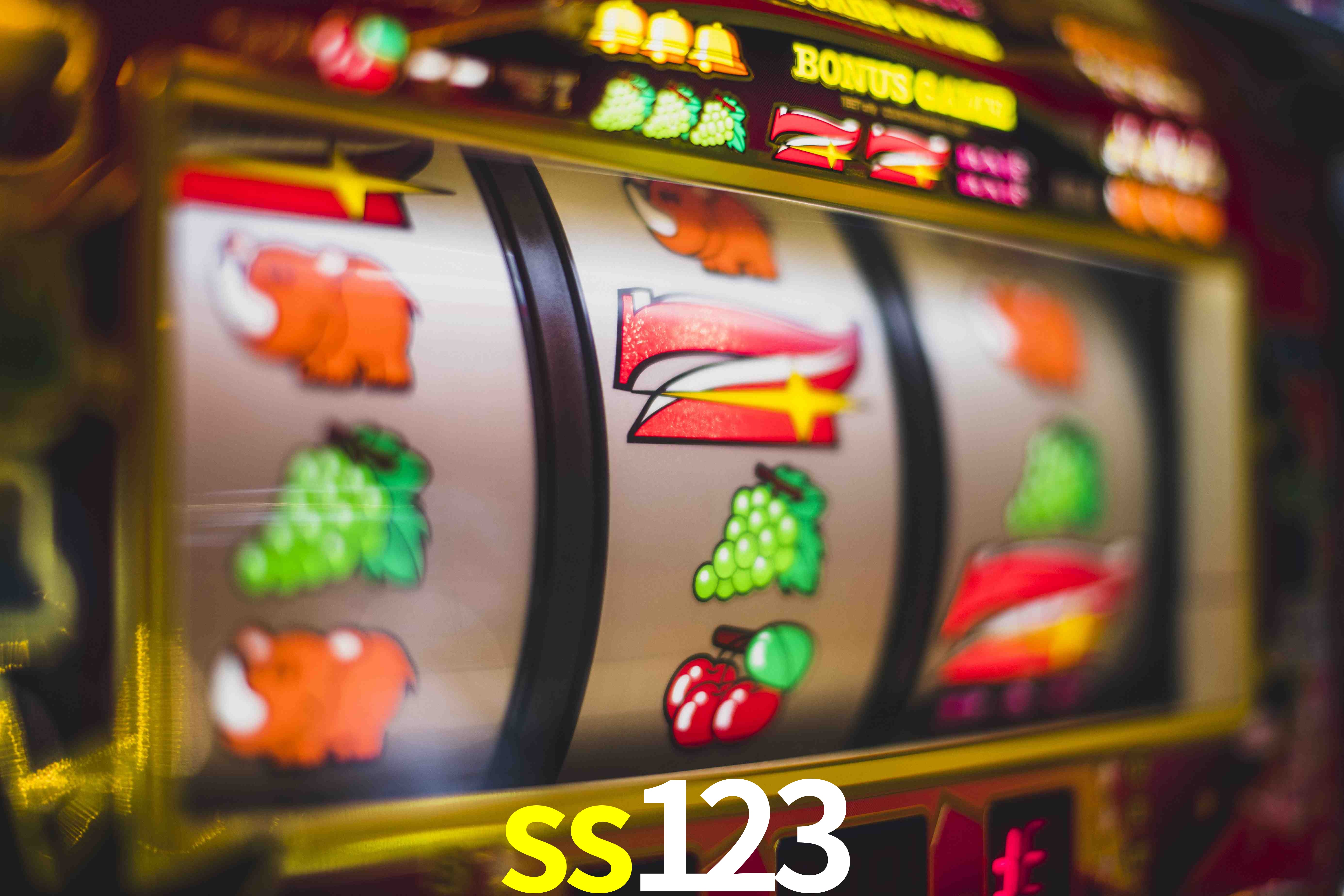 Secure Login ss123
